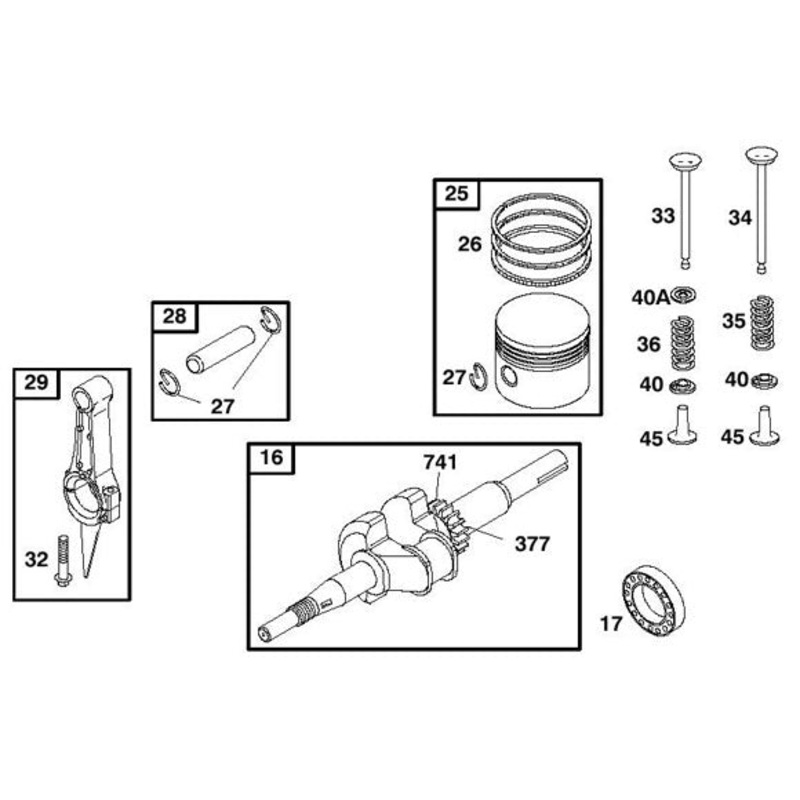 28. 555509 Briggs Flat Head Raptor III Wrist Pin and Circlip Kit