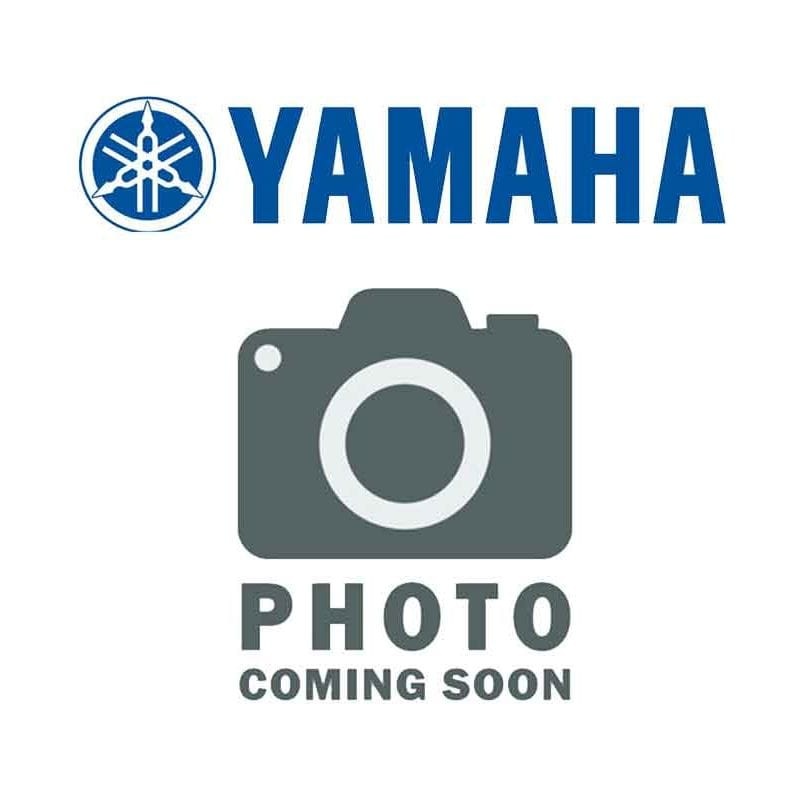 Throttle Body Assembly by Yamaha