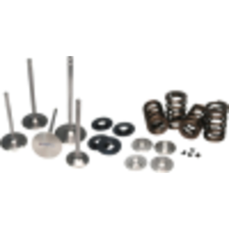 Ferrea Racing Ferrea 01-06 BMW S54 Dual Spring Kit