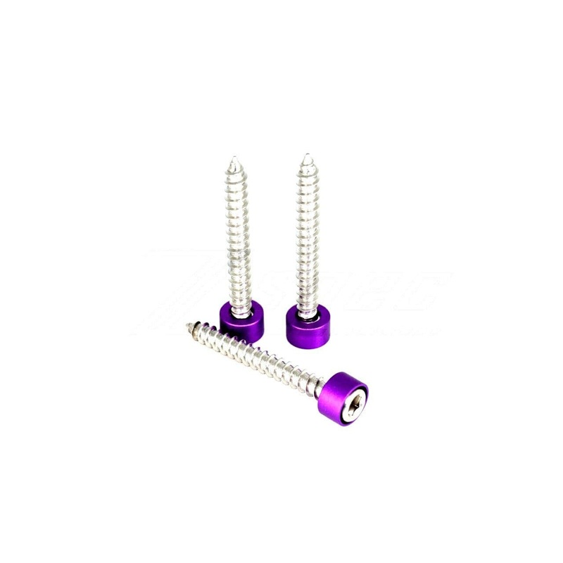 ZSPEC Throttle Body Stainless/Billet Fasteners | 2020-2026 Toyota GR Supra (00843612114228)