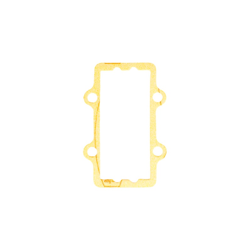 (170) X30125810 IAME X30 White Reed Cage Gasket