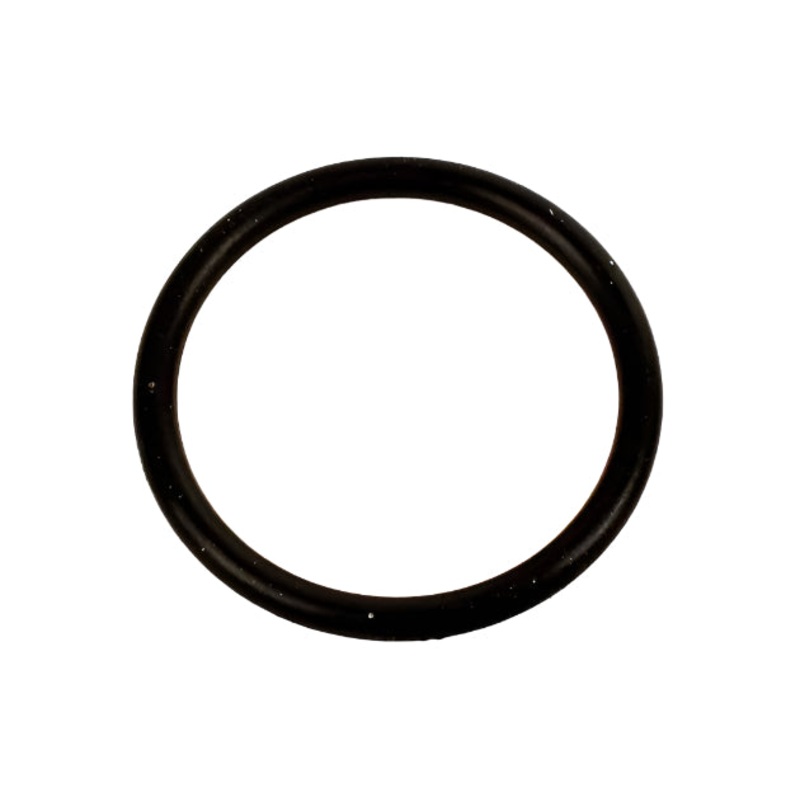 107. W972/MR Rok VLR Starter Support O-Ring