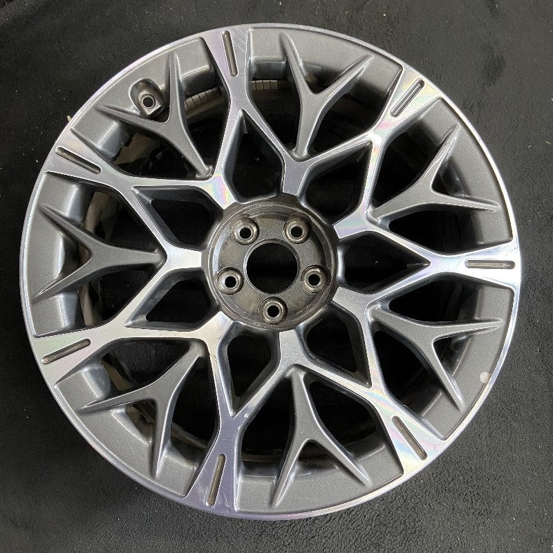 21″ G90 23-24 21×8 Original OEM Wheel Rim